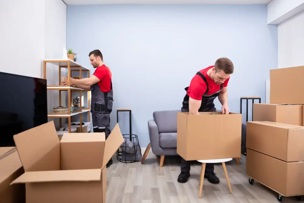 Dedicated team of office movers coordinating a seamless move.