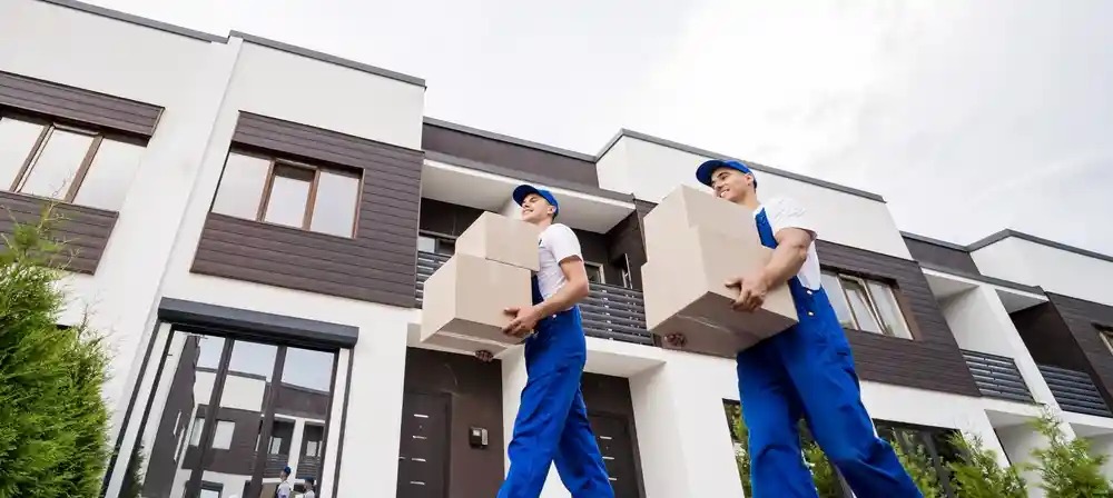 Professional movers carrying boxes in Tamiami, FL