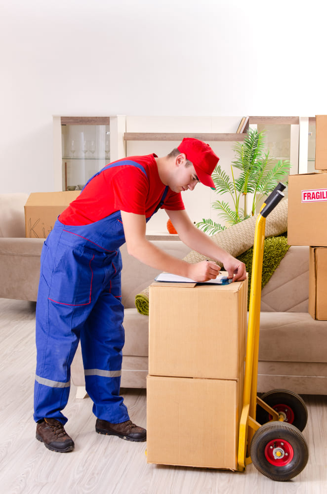 Professional movers carrying boxes in Miami Springs, FL